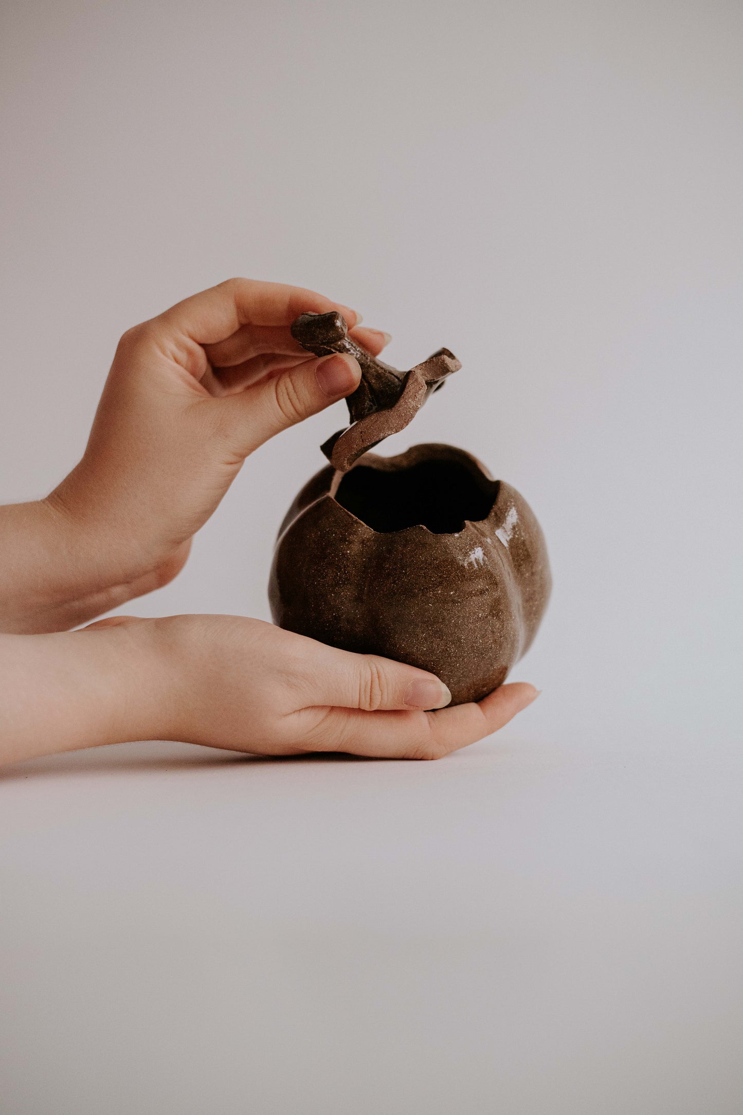 Ceramic Sugar Bowl - Limited Autumn Edition