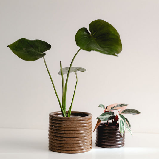 Ceramic Medium Planter Hoop