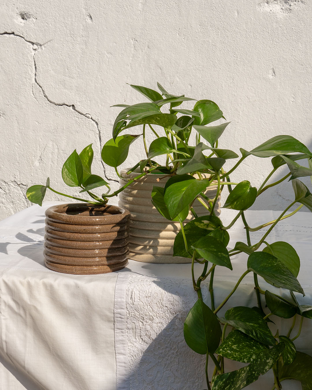 Hoop M Planter