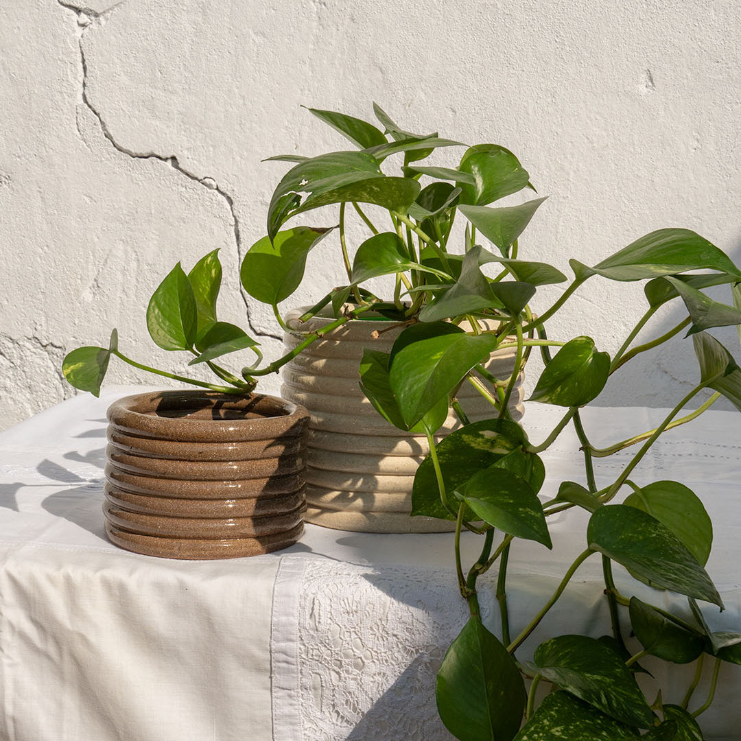 Ceramic Plant Pot Small/Desk Organizer