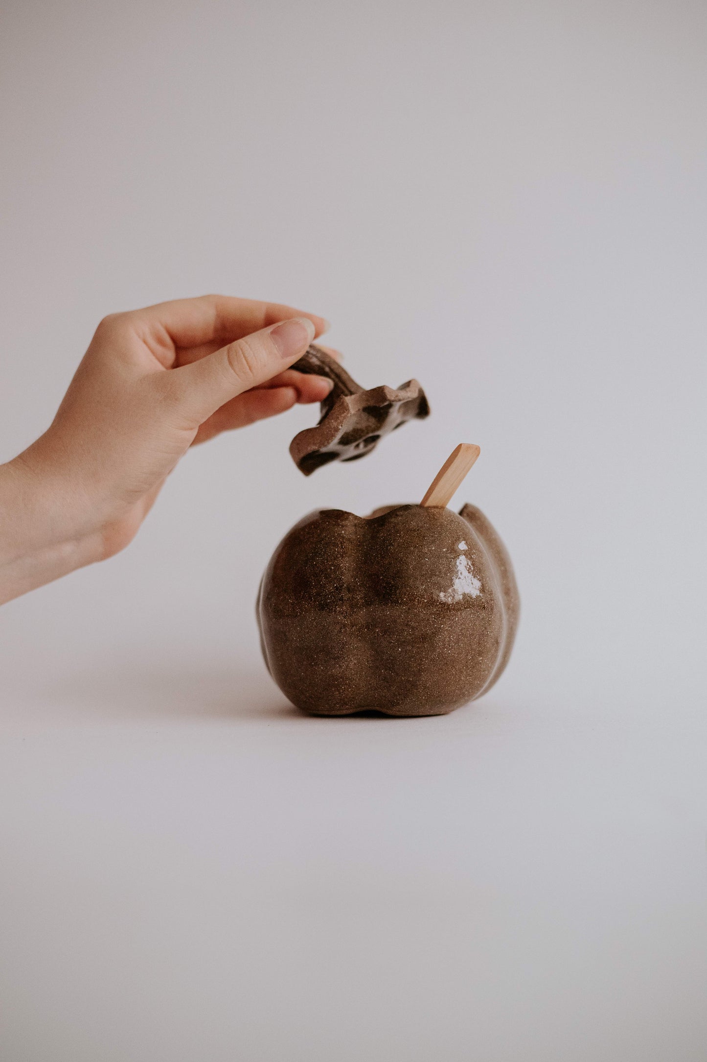 Ceramic Sugar Bowl - Limited Autumn Edition