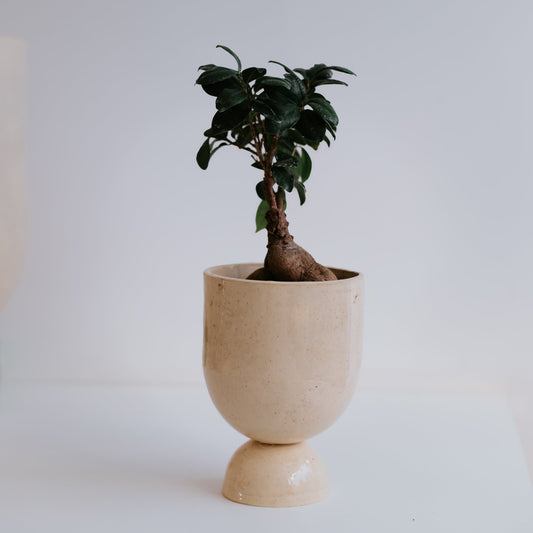 Hourglass White Planter