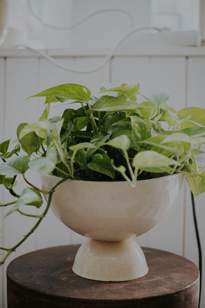 Hourglass Large Bowl White