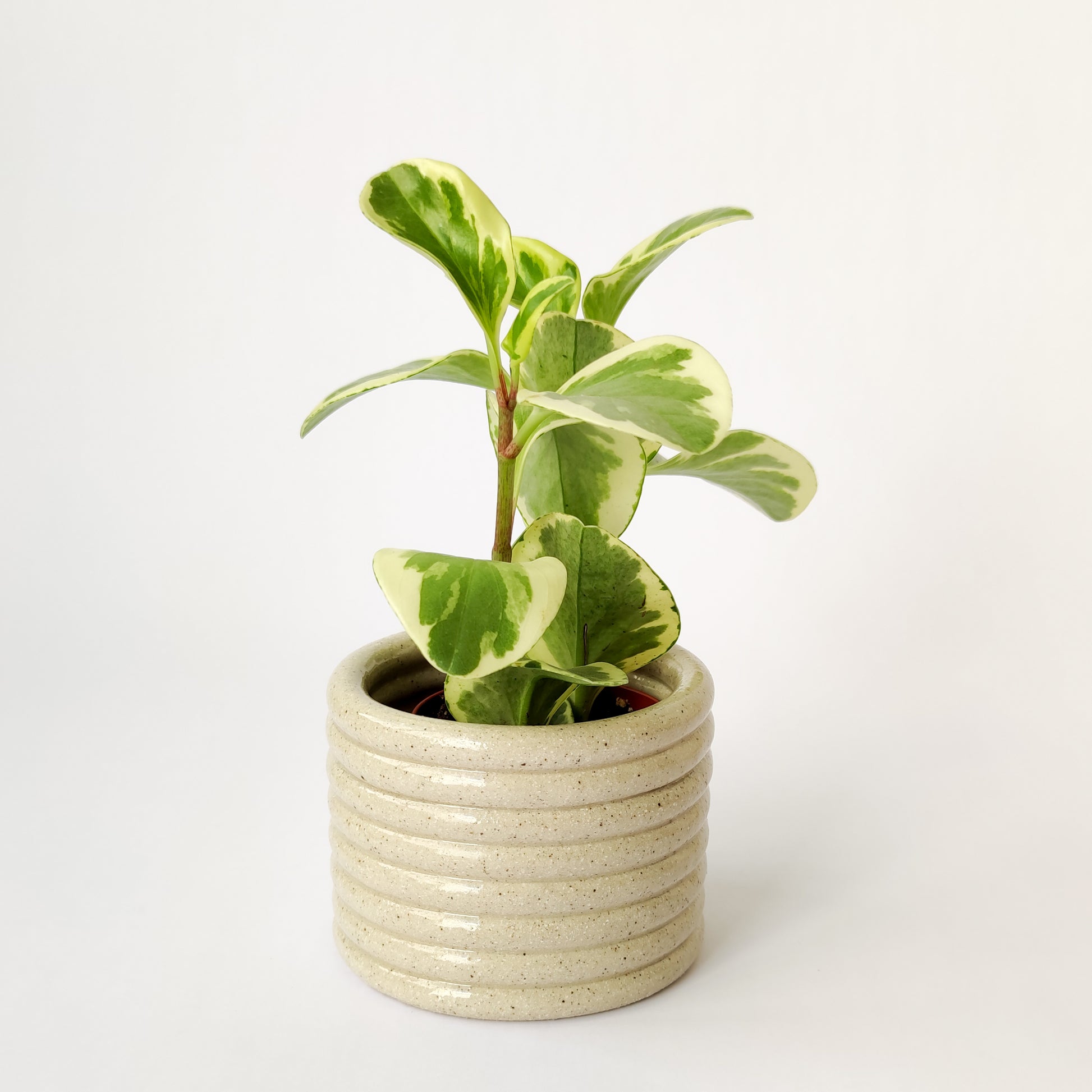 ceramic handmade planter 